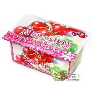 點亮生活角落 迷你室內盆栽，媽媽果園西紅柿帶來的綠色驚喜